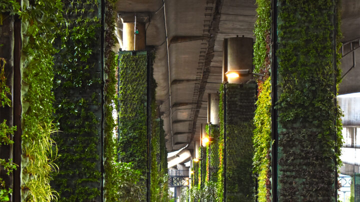 TRANSFORMANDO LAS CIUDADES DEL GRIS AL VERDE