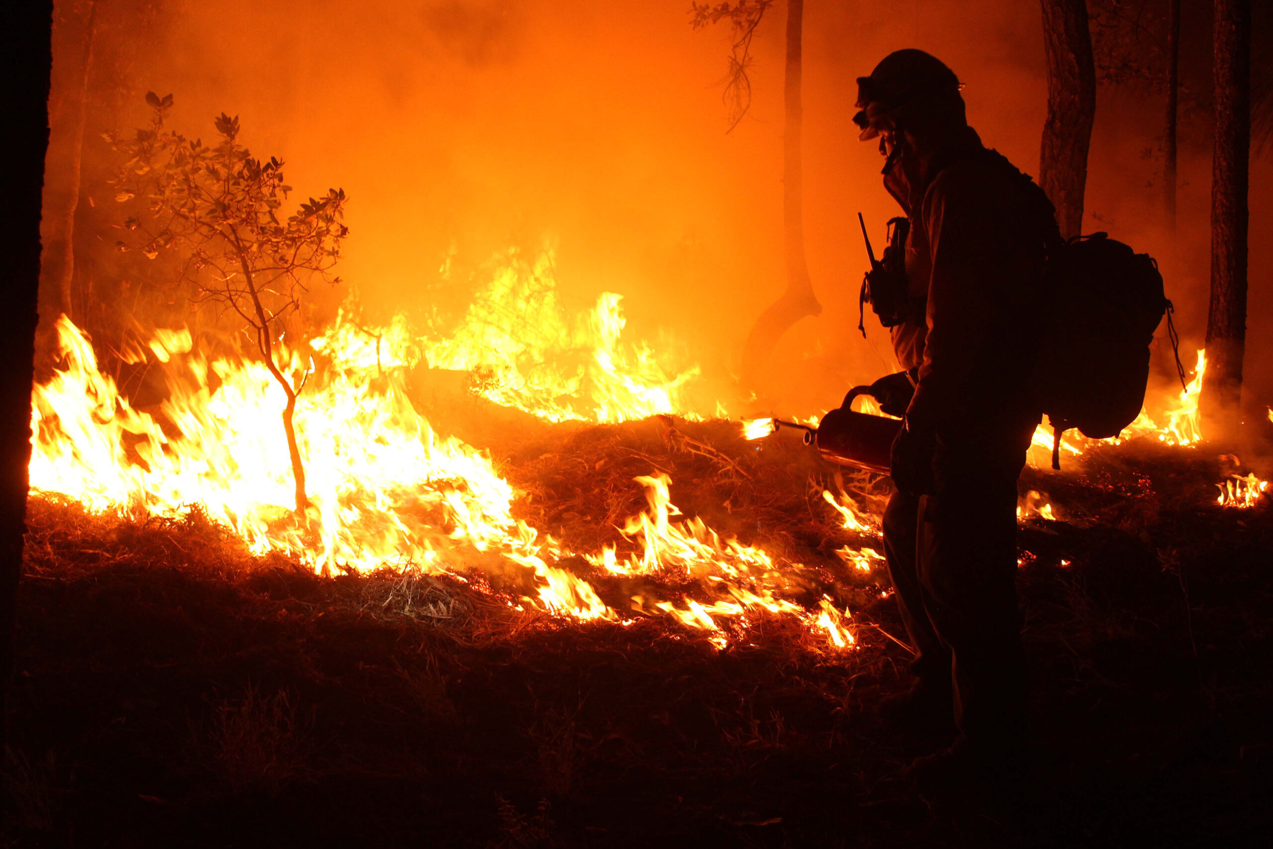 INDISPENSABLE REFORZAR MEDIDAS PREVENTIVAS CONTRA MEGAINCENDIOS