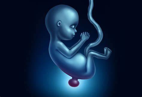 CÓMO PREVENIR DEFECTOS DE NACIMIENTO EN TU BEBÉ CÓMO PREVENIR DEFECTOS DE NACIMIENTO EN TU BEBÉ