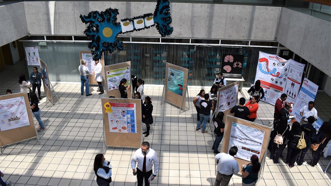 ACTIVIDADES DE LA SEMANA MUNDIAL DEL CEREBRO 2023 ACTIVIDADES DE LA SEMANA MUNDIAL DEL CEREBRO 2023