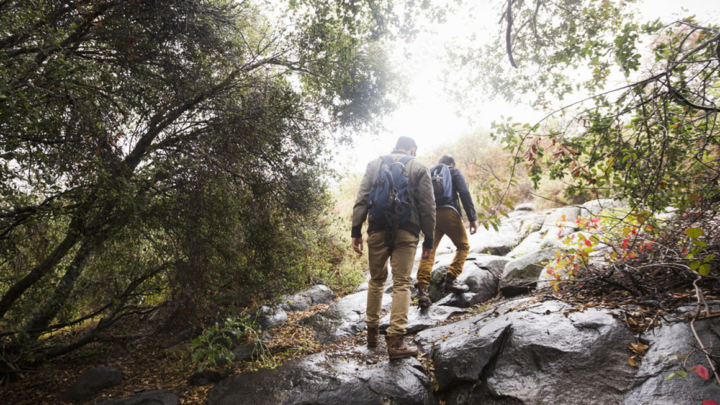 LUGARES EN MÉXICO PARA HACER HIKING