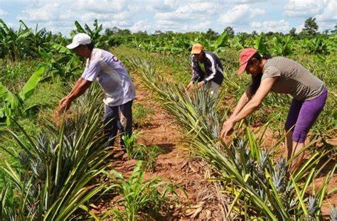 ÍNDICE NACIONAL DE PRECIOS PRODUCTOR, MARZO 2023