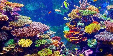 DESACATO DE SEMARNAT POR INCUMPLIR SENTENCIA DE LA SUPREMA CORTE PARA LA AMPLIACIÓN DEL PUERTO DE VERACRUZ DESACATO DE SEMARNAT POR INCUMPLIR SENTENCIA DE LA SUPREMA CORTE PARA LA AMPLIACIÓN DEL PUERTO DE VERACRUZ