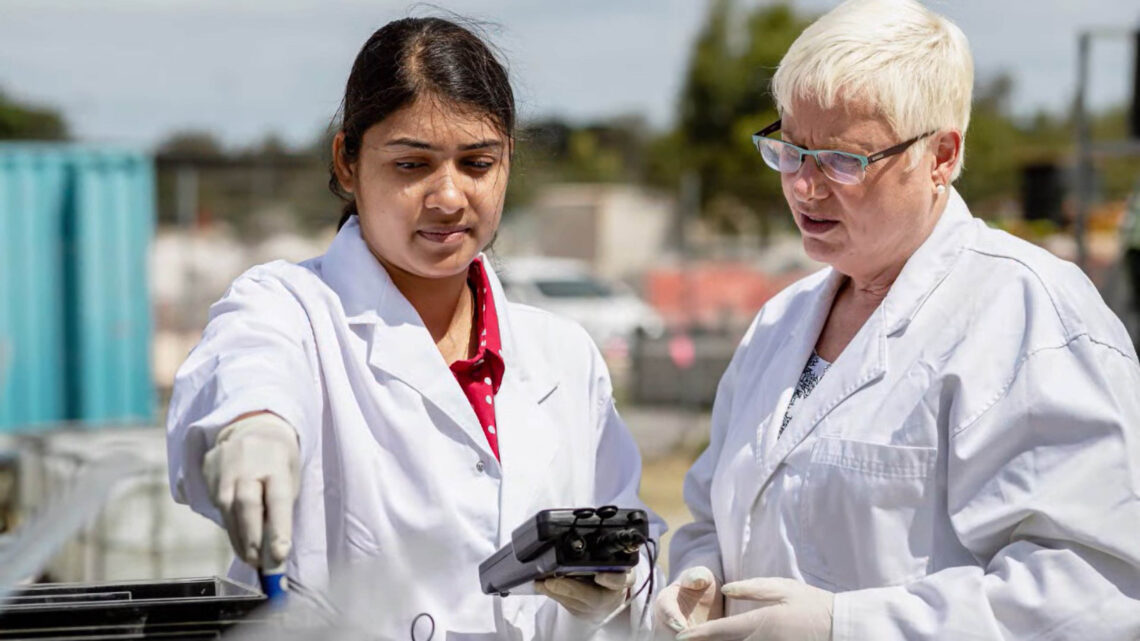 LA MAYOR REVOLUCIÓN SILENCIOSA LA MAYOR REVOLUCIÓN SILENCIOSA