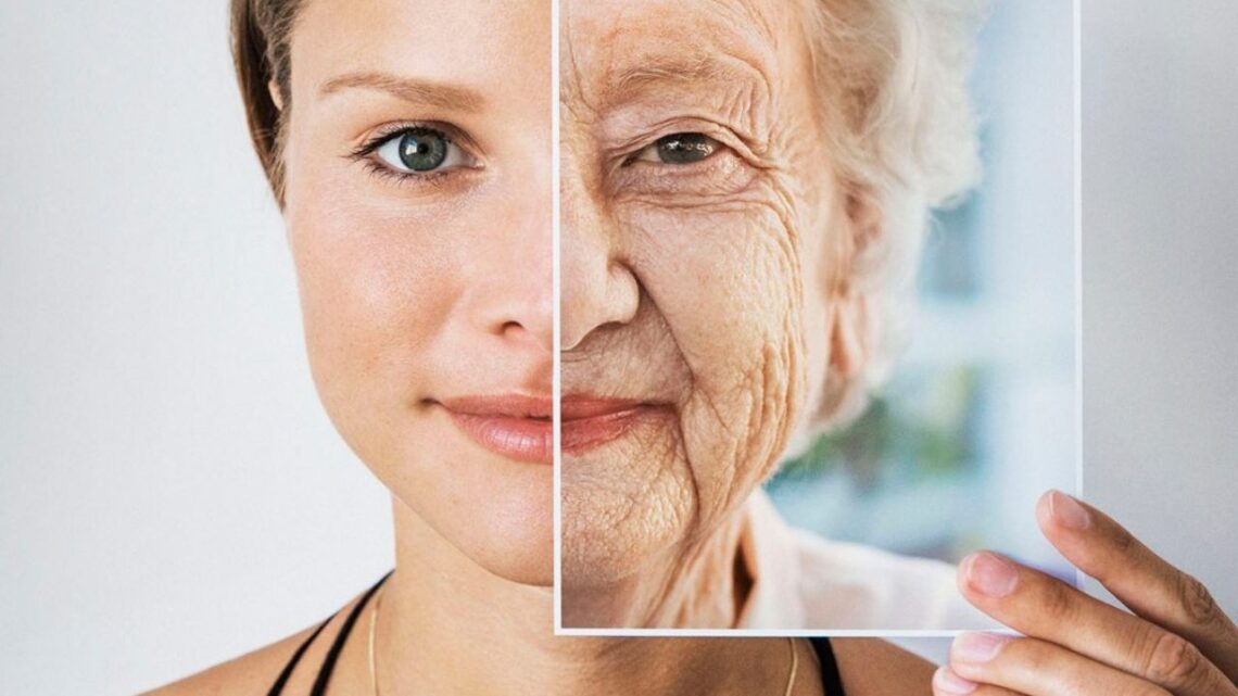 PLATAFORMA SOBRE EL ENVEJECIMIENTO EN MÉXICO PLATAFORMA SOBRE EL ENVEJECIMIENTO EN MÉXICO