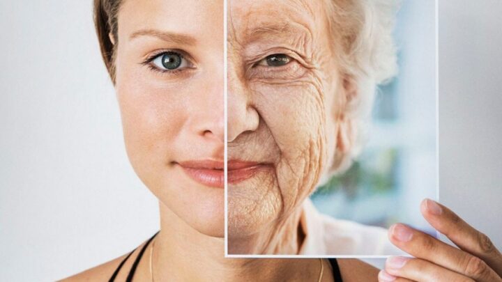 PLATAFORMA SOBRE EL ENVEJECIMIENTO EN MÉXICO