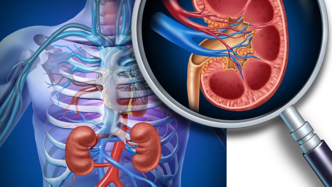 ENFERMEDAD RENAL CRÓNICA