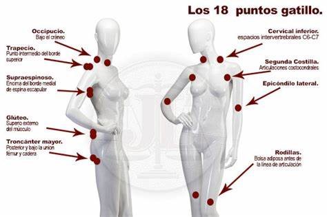 TRATAMIENTO INTEGRAL PARA FIBROMIALGIA TRATAMIENTO INTEGRAL PARA FIBROMIALGIA