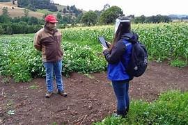 RESULTADOS OPORTUNOS DEL CENSO AGROPECUARIO 2022