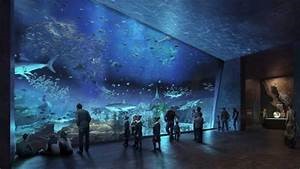 GRAN ACUARIO MAZATLÁN “MAR DE CORTÉS”