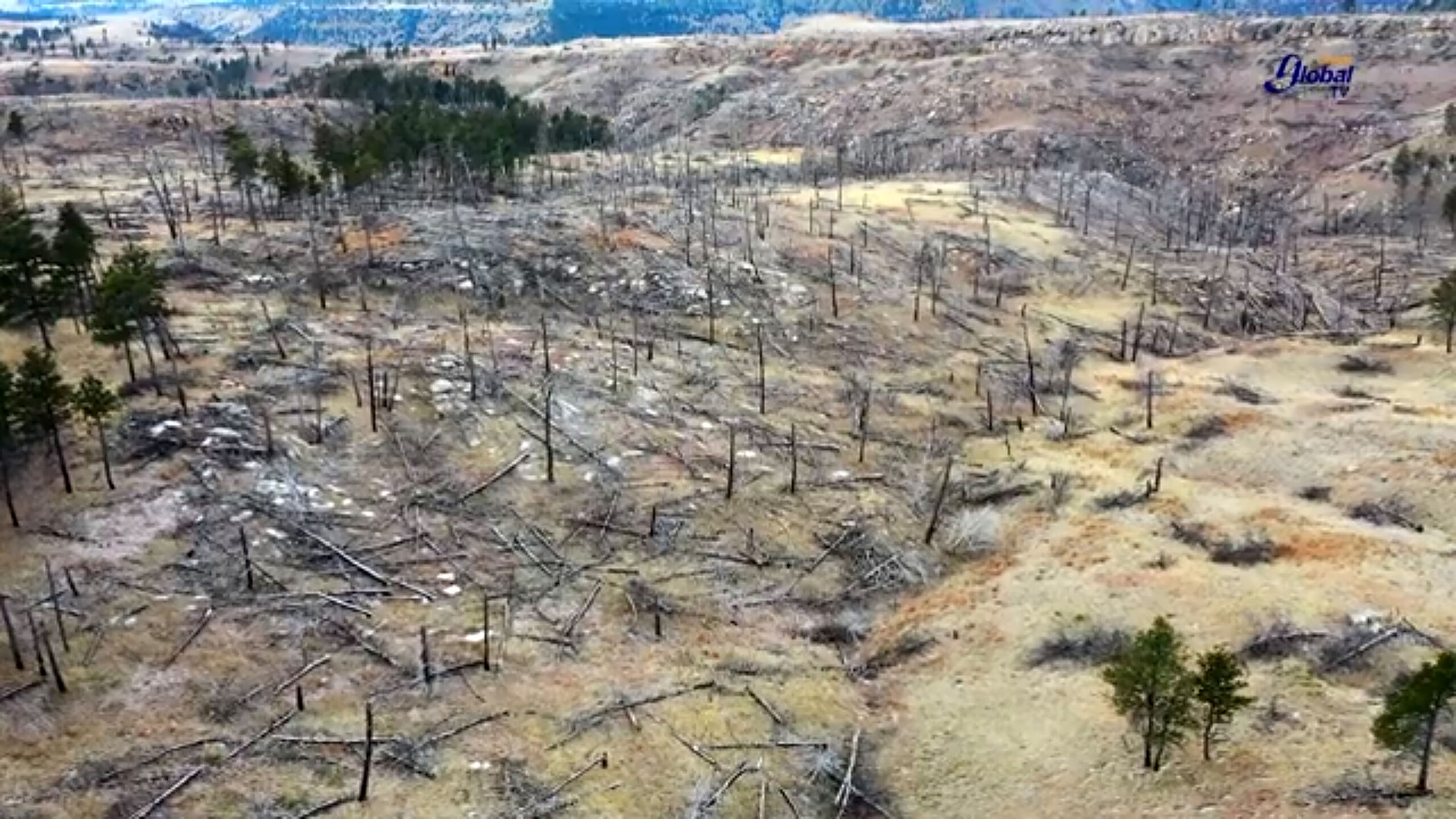 ENFERMEDADES EMERGENTES: PARTE DE LOS CAMBIOS GLOBALES PROVOCADOS POR HUMANOS