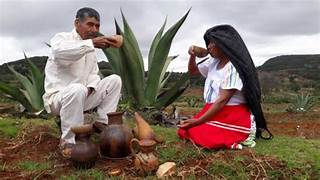 TECNOLOGÍA EMERGENTE PARA PROCESAR PULQUE DE TUNA ROJA