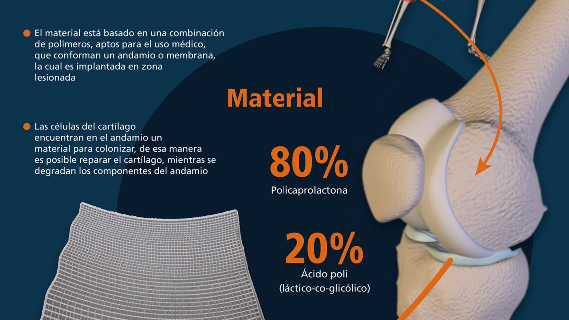 REGENERACIÓN NATURAL DEL CARTÍLAGO A TRAVÉS DE POLÍMEROS