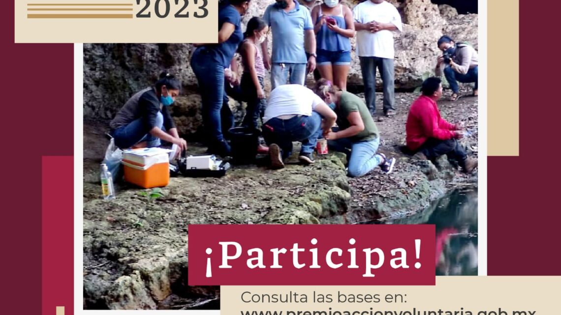 ABIERTA LA CONVOCATORIA AL PREMIO NACIONAL DE ACCIÓN VOLUNTARIA Y SOLIDARIA 2023