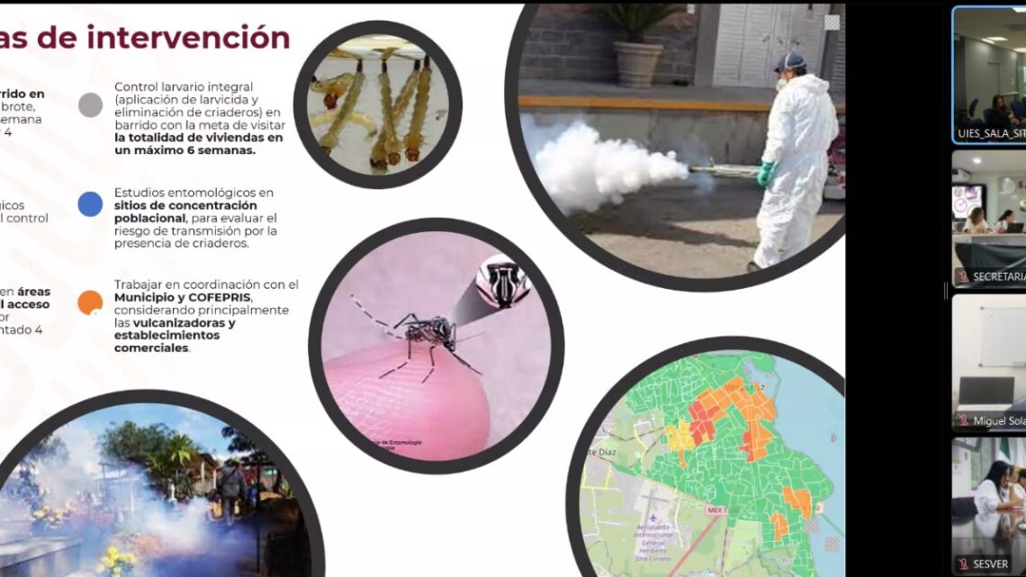 ESFUERZOS PARA REDUCIR DENGUE, ZIKA Y CHIKUNGUNYA