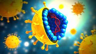 HEPATITIS C PUEDE SER CURABLE EN DOS MESES HEPATITIS C PUEDE SER CURABLE EN DOS MESES