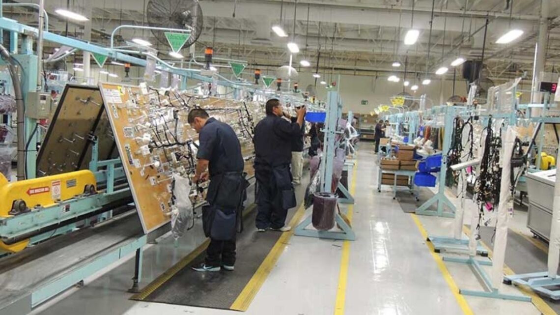 GENERA AMÉRICA LATINA EMPLEO Y PRODUCTIVIDAD, SOLO TEMPORALES GENERA AMÉRICA LATINA EMPLEO Y PRODUCTIVIDAD, SOLO TEMPORALES