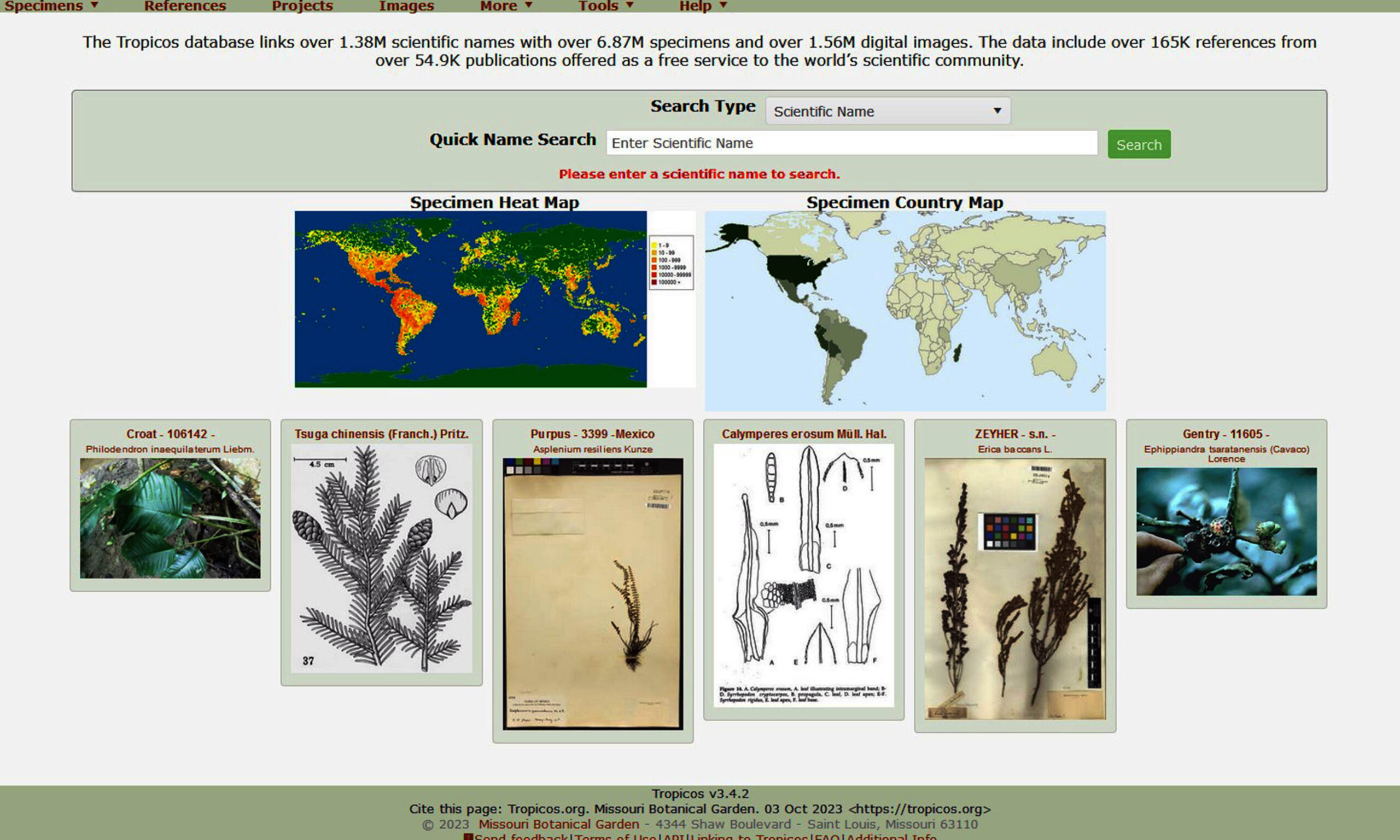 COLECCIONES DIGITALES POTENCIAL DE CONSERVACIÓN DE PLANTAS EN MESOAMÉRICA