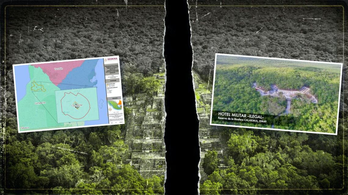 SEDENA ARRASÓ LA SELVA PARA CONSTRUIR SEIS HOTELES DEL TREN MAYA SEDENA ARRASÓ LA SELVA PARA CONSTRUIR SEIS HOTELES DEL TREN MAYA