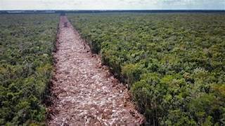 HAY QUE HACER ECOLOGÍA CON UNA AMPLIA GAMA DE DISCIPLINAS