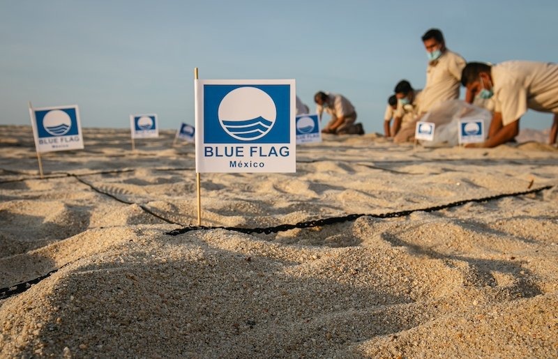 MÉXICO REGISTRA 120 CANDIDATURAS PARA RENOVACIÓN Y OBTENCIÓN DE DISTINTIVOS BLUE FLAG PARA LA TEMPORADA 2024-2025