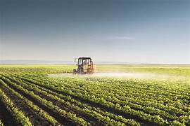 LA INNOVACIÓN DE LA AGROINDUSTRIA MEXICANA