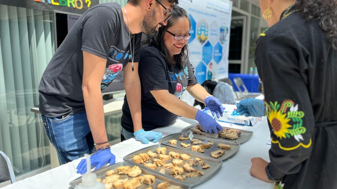 NEUROCIENCIAS TRASLACIONALES: LA IMPORTANCIA DEL ESTUDIO EN MODELOS ANIMALES NEUROCIENCIAS TRASLACIONALES: LA IMPORTANCIA DEL ESTUDIO EN MODELOS ANIMALES