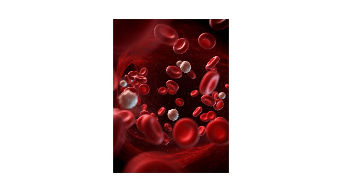 ENFERMEDAD RENAL CRÓNICA