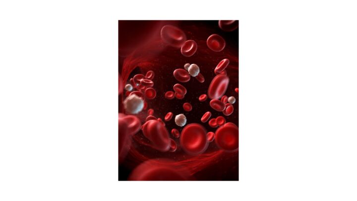 ENFERMEDAD RENAL CRÓNICA