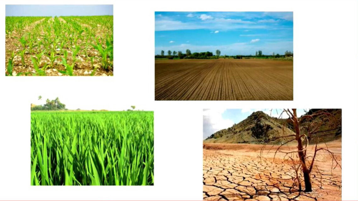 OPORTUNIDAD PARA RESTAURAR LOS ECOSISTEMAS