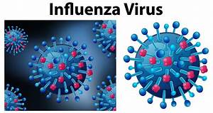 PERSONA RELACIONADA CON INFLUENZA A (H5N2) FALLECIÓ POR ENFERMEDADES CRÓNICAS