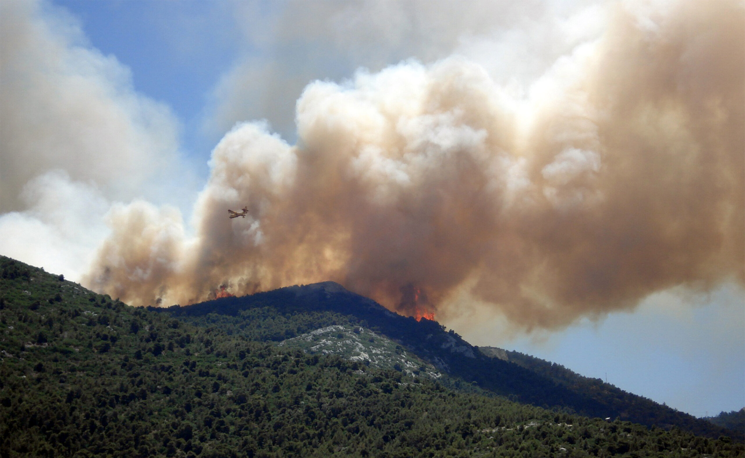 MANEJO INTEGRADO DEL FUEGO