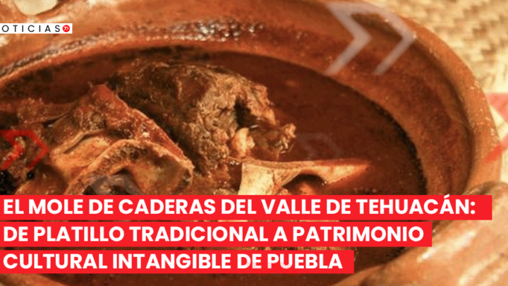 “INGREDIENTE”