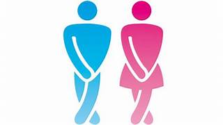LA INCONTINENCIA URINARIA