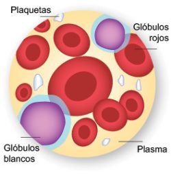 AVANZA SISTEMA NACIONAL DE SANGRE