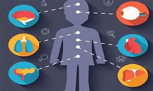 DE DONANTE VIVO, 70% DE LOS ÓRGANOS TRASPLANTADOS EN MÉXICO DE DONANTE VIVO, 70% DE LOS ÓRGANOS TRASPLANTADOS EN MÉXICO