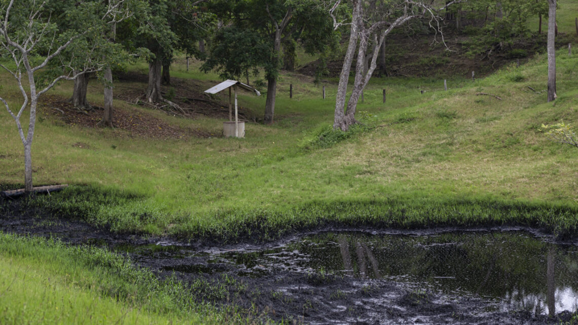 DERRAME DE HIDROCARBUROS DESDE HACE 42 DÍAS EN COMUNIDADES INDÍGENAS DE PAPANTLA