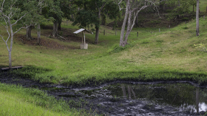 DERRAME DE HIDROCARBUROS DESDE HACE 42 DÍAS EN COMUNIDADES INDÍGENAS DE PAPANTLA
