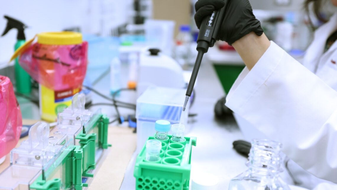 CON PASO FIRME EN LA INVESTIGACIÓN Y DESARROLLO DE VACUNAS EXPERIMENTALES Y VECTORES VIRALES CON PASO FIRME EN LA INVESTIGACIÓN Y DESARROLLO DE VACUNAS EXPERIMENTALES Y VECTORES VIRALES