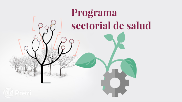 PLAN SECTORIAL DE SALUD 2024-2030