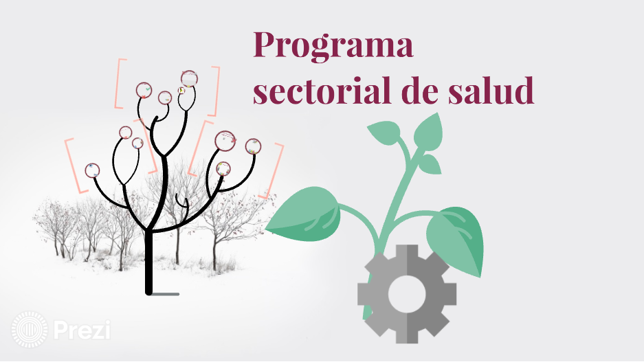 PLAN SECTORIAL DE SALUD 2024-2030