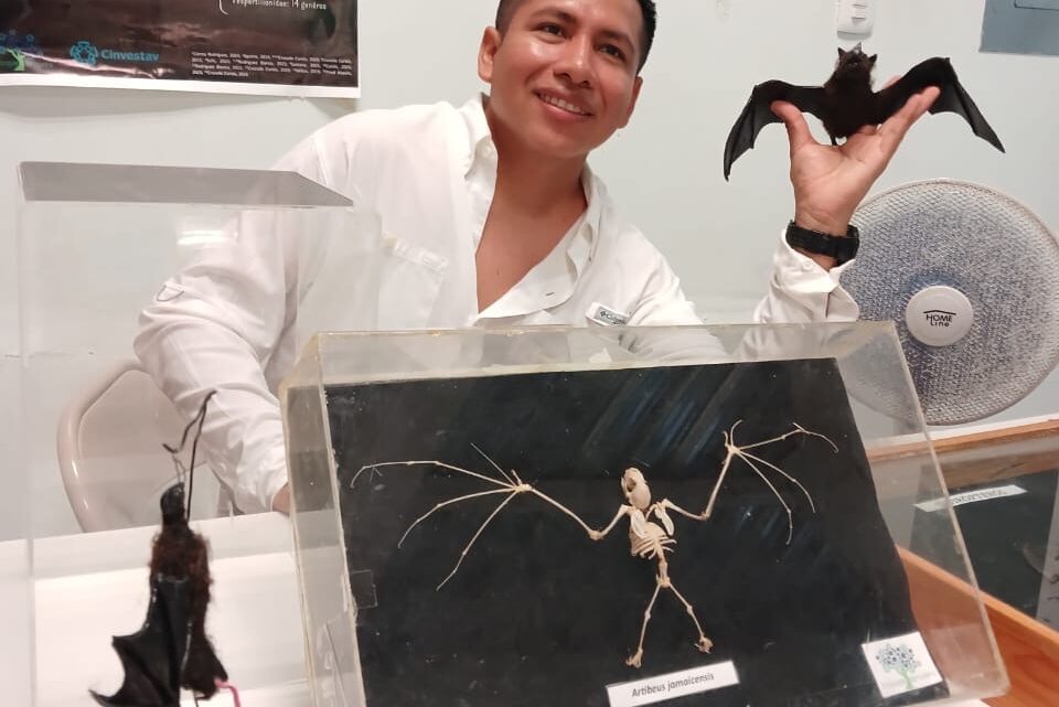 RECONOCIDO POR DIVULGAR LA RELEVANCIA DE LOS MURCIÉLAGOS
