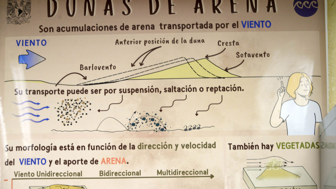 PRESERVA ACERVO DE ARENA DE CASI LA TOTALIDAD DEL LITORAL MEXICANO