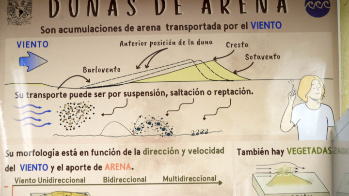 PRESERVA ACERVO DE ARENA DE CASI LA TOTALIDAD DEL LITORAL MEXICANO