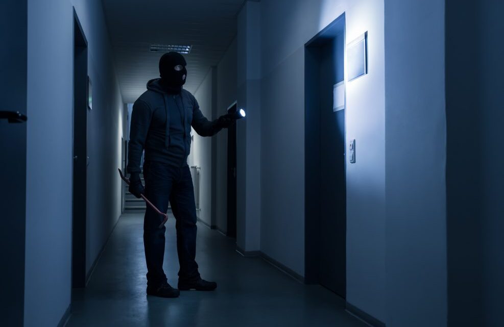 ENCUESTA NACIONAL DE VICTIMIZACIÓN DE EMPRESAS 2024