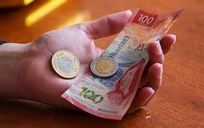INDICADOR OPORTUNO DEL CONSUMO PRIVADO, OCTUBRE Y NOVIEMBRE 2024