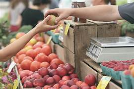 ÍNDICE NACIONAL DE PRECIOS AL CONSUMIDOR, NOVIEMBRE 2024