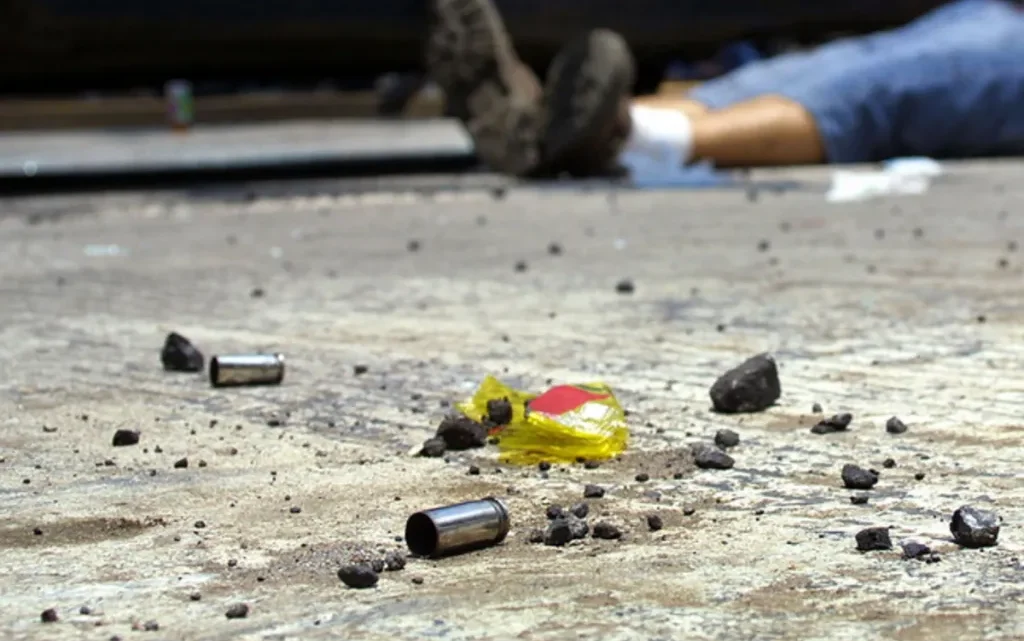 DEFUNCIONES POR HOMICIDIO