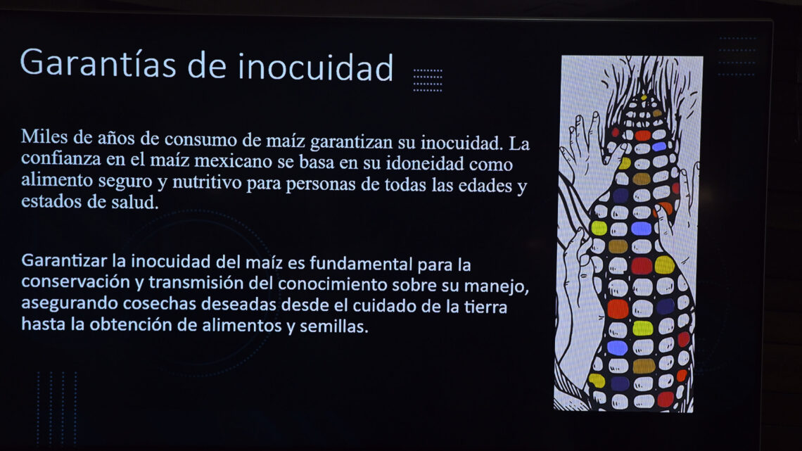SIN RIESGO PARA LA SALUD, ALIMENTOS DERIVADOS DEL MAÍZ MEXICANO