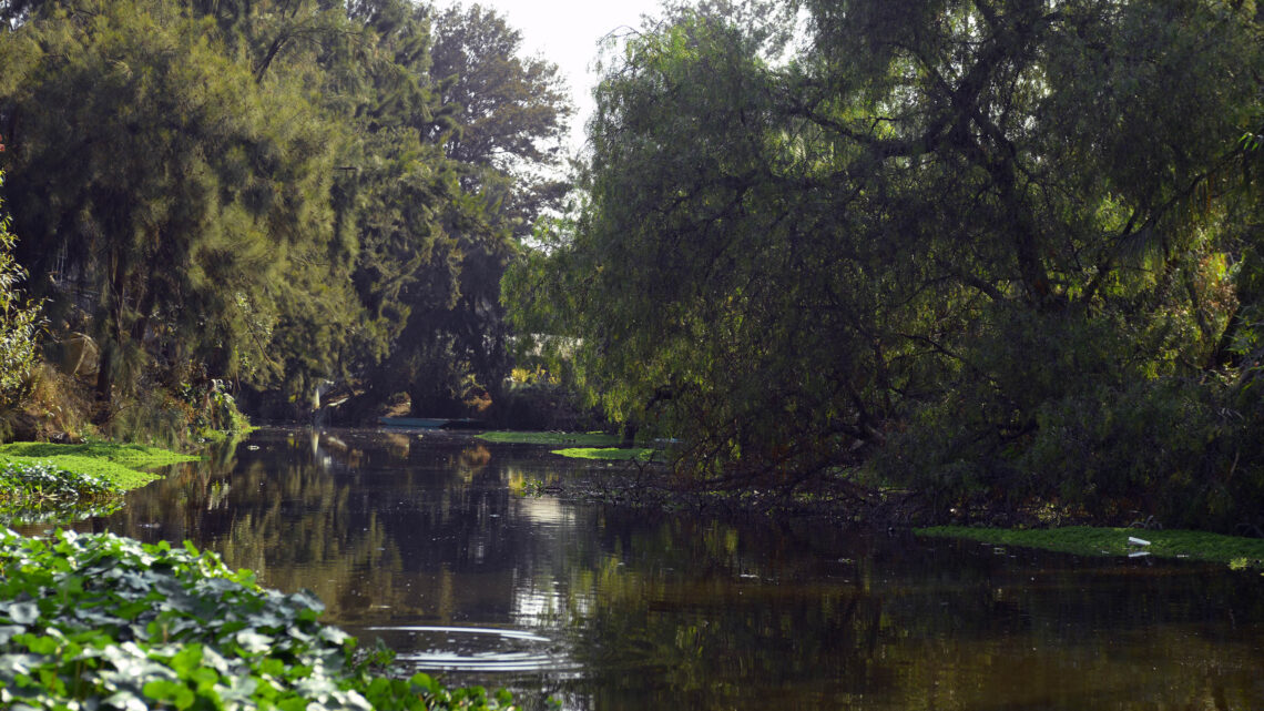 EN CHINAMPA DE XOCHIMILCO, PROTOTIPO PARA TRATAR AGUAS RESIDUALES
